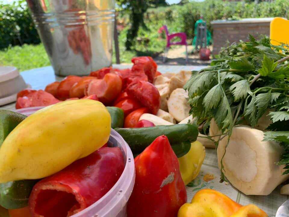 légumes d'été et d'automne pour la soupe de légumes slavonne