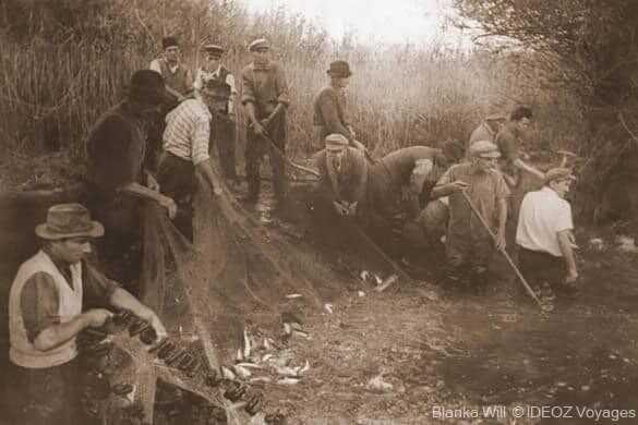 photo d'époque de la pêche dans la drave par les habitants de kopacevo