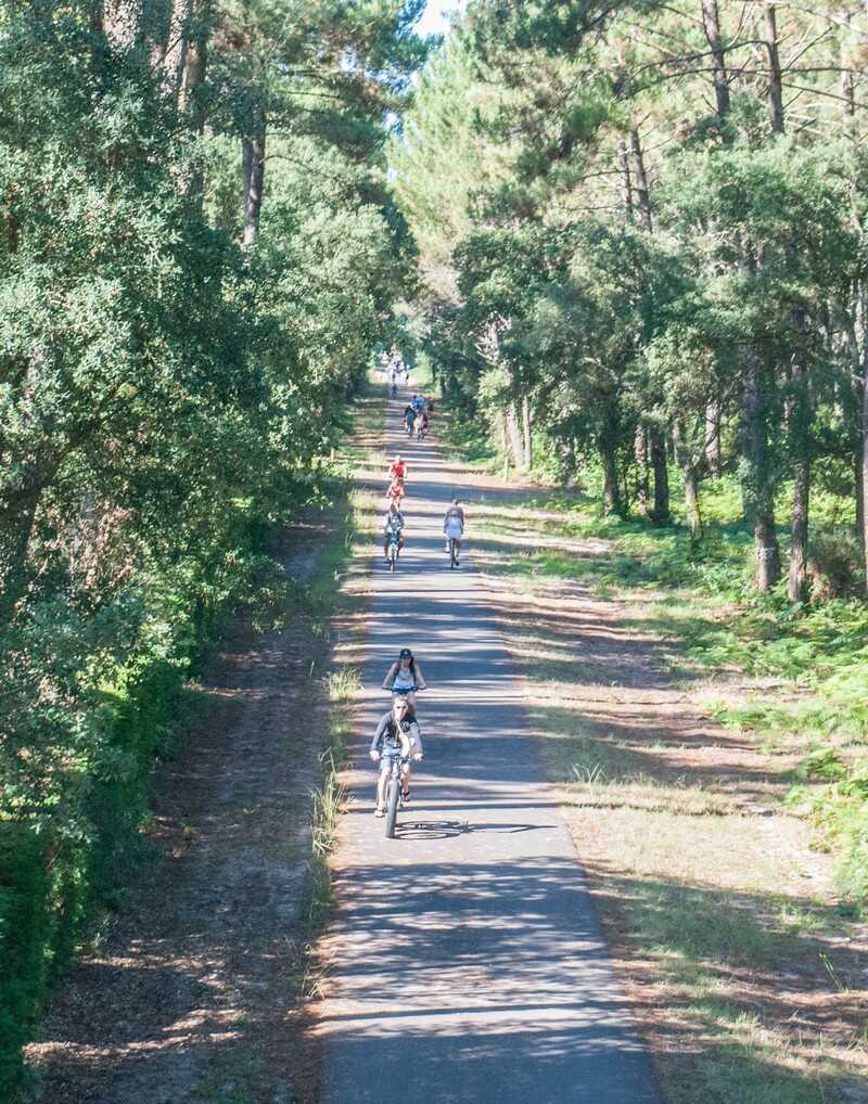 balade à vélo dans les forêts landaises