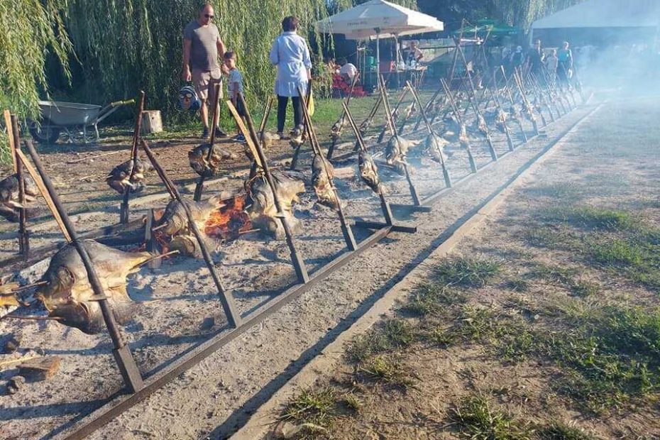 ribarski dani kopacevo cuisson des carpes