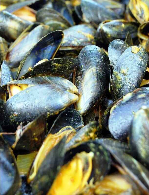 moules 1