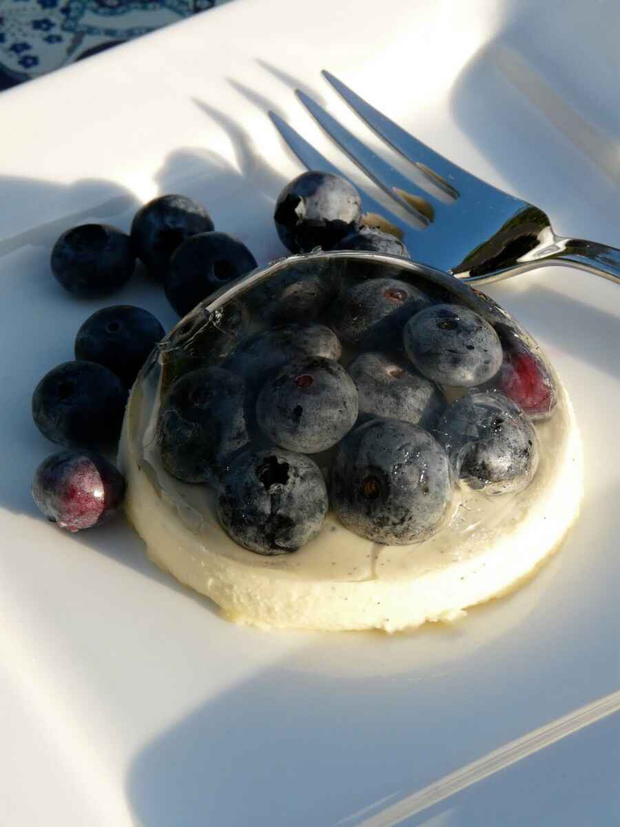 panna cotta chocolat blanc et myrtilles