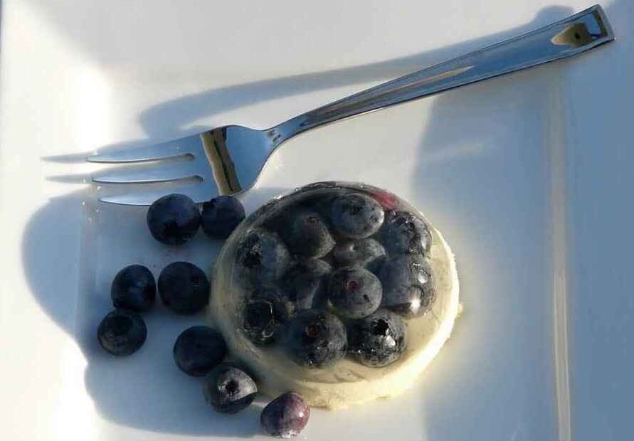 panna cotta chocolat blanc myrtilles fraiches