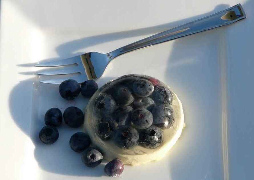 panna cotta chocolat blanc myrtilles fraiches