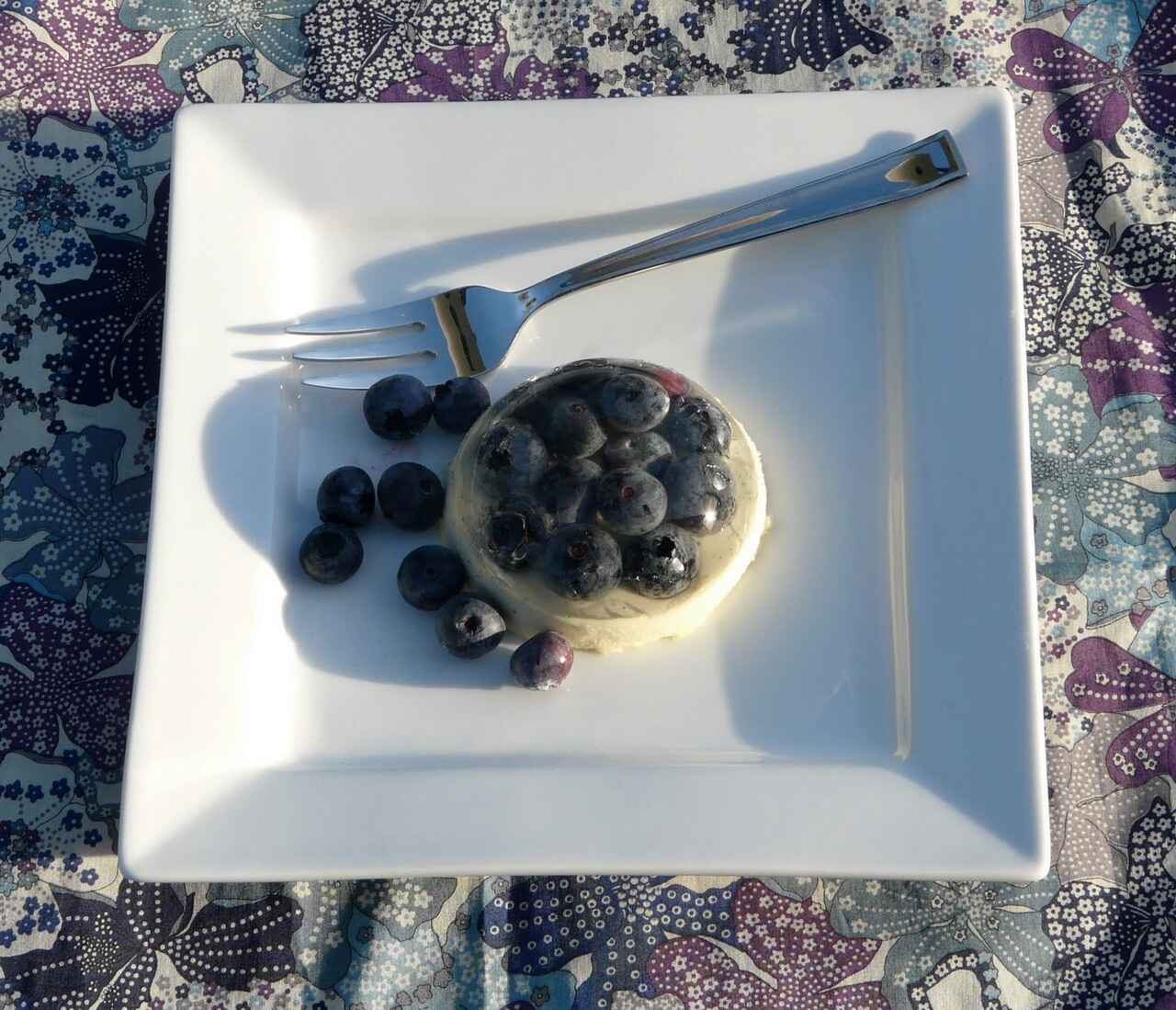 panna cotta chocolat blanc myrtilles