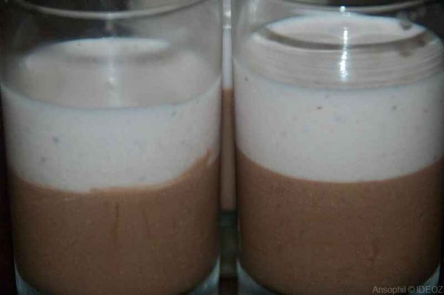 panna cotta chocolat fraise (1)