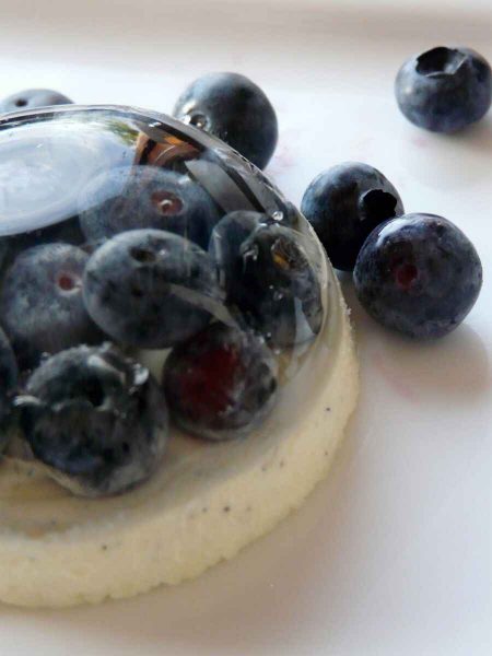 recette panna cotta chocolat blanc myrtilles