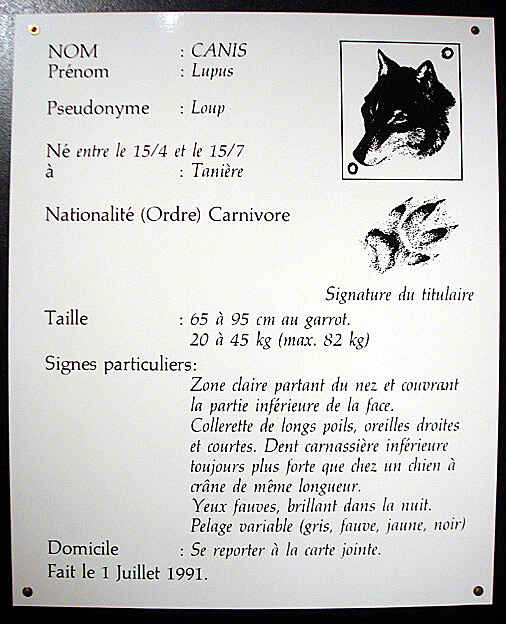 carte d'identité du loup dans le musée du loup de bretagne