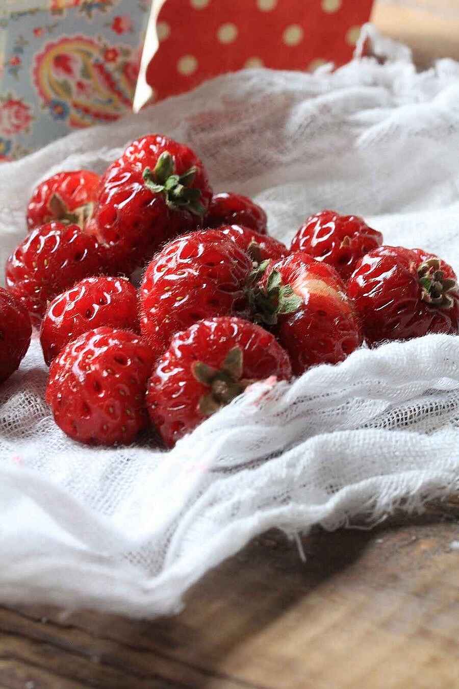 fraises fraiches