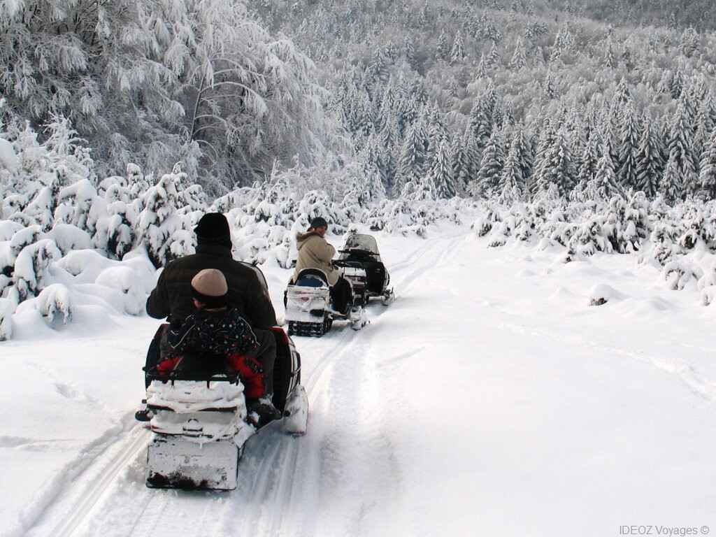 balade dans la neige avec branko sokac dans les forets de la vallee de korenica