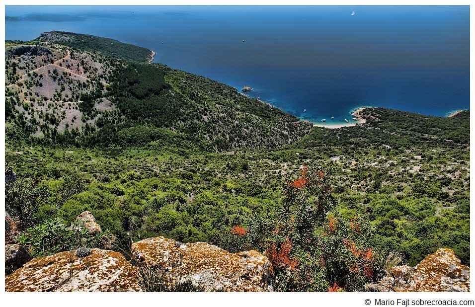 baie de lubenice depuis les hauteurs