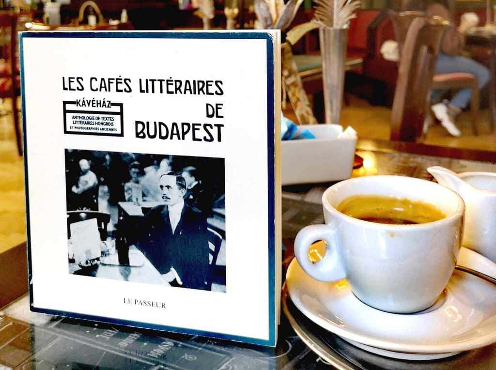 lecture au café astoria budapest