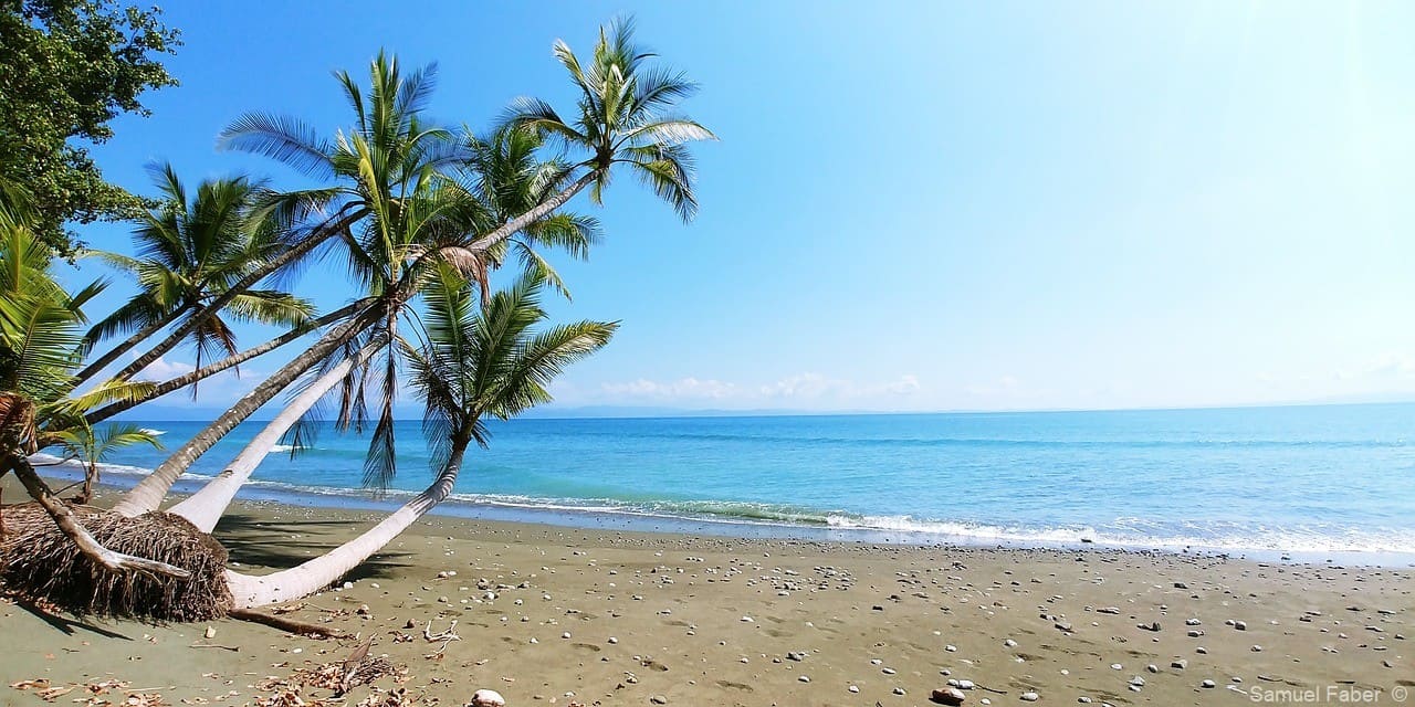 plage caraibe costa rica (1)