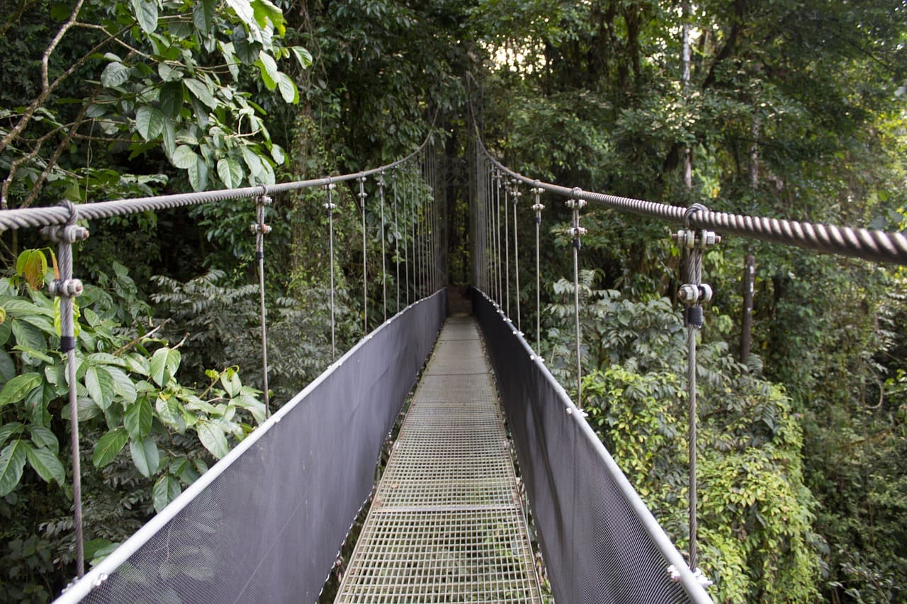 pont foret de nuages costa rica