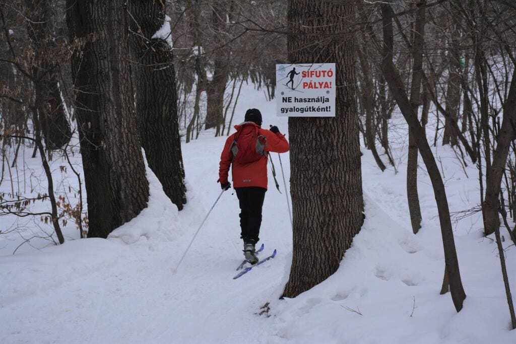 skier budapest[1]