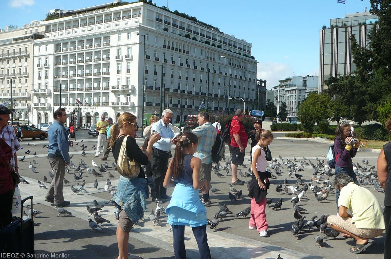 athènes places et pigeons (1)