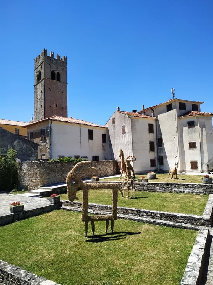 motovun place bucolique(1)