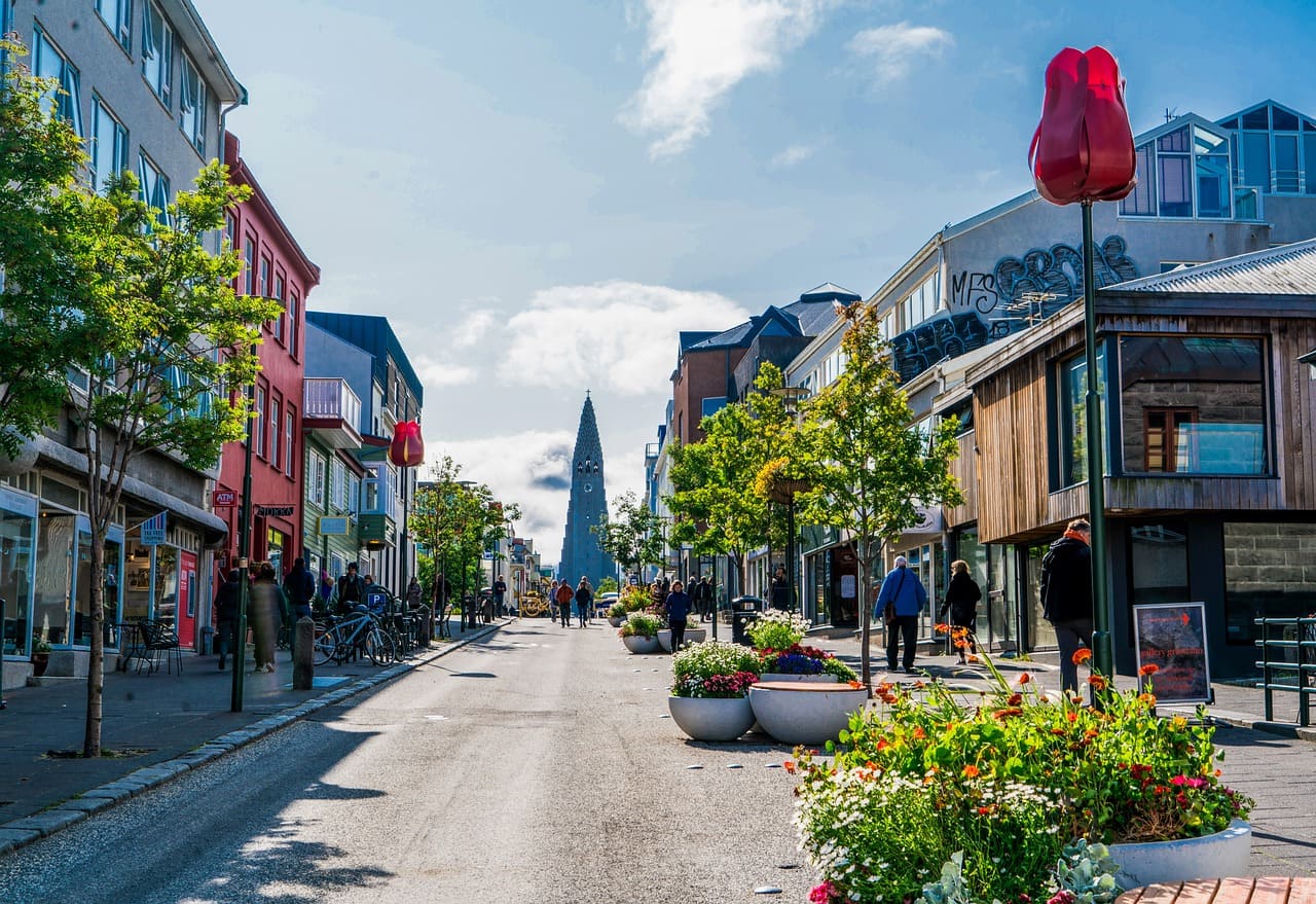 reykjavik rue skólavörðustígur tulipe geante (1)