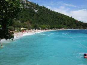 medveja plage (1)
