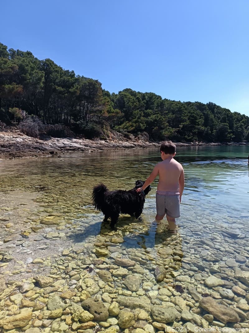 crique vrgada avec le chien lola (1)