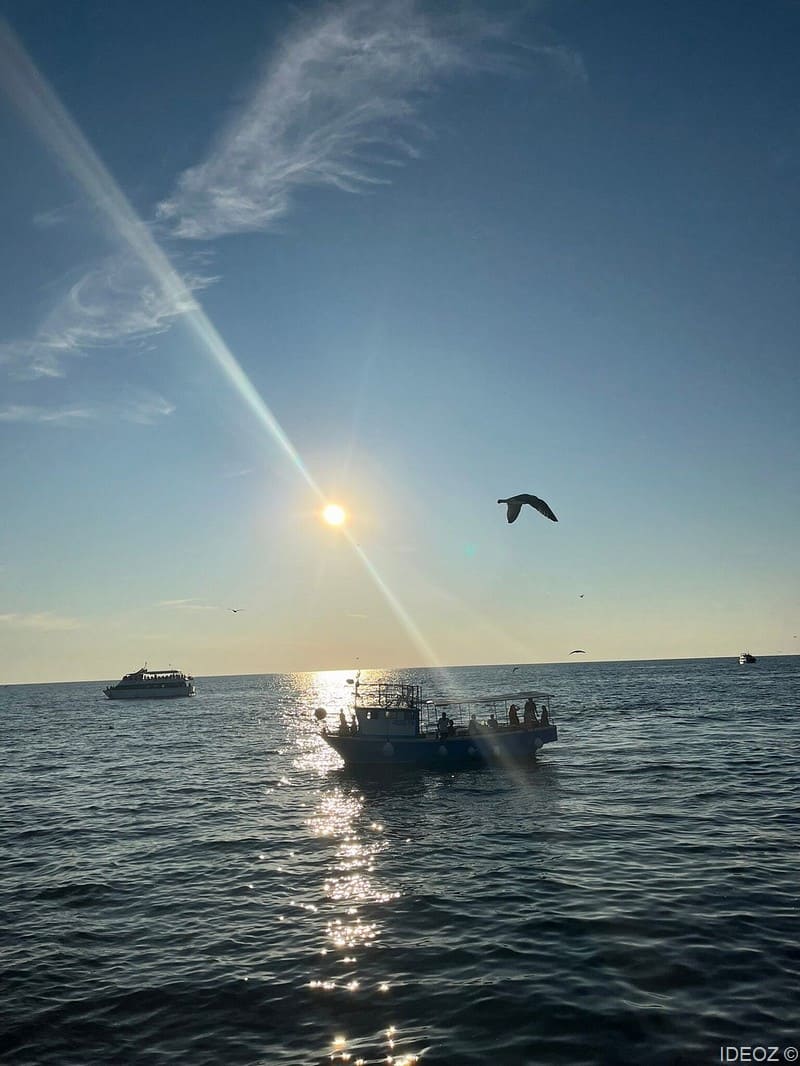 excursions en bateau brijuni avec pavle (1)