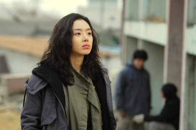 paju (1)
