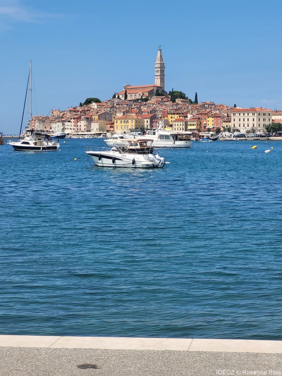 rovinj panorama (1)