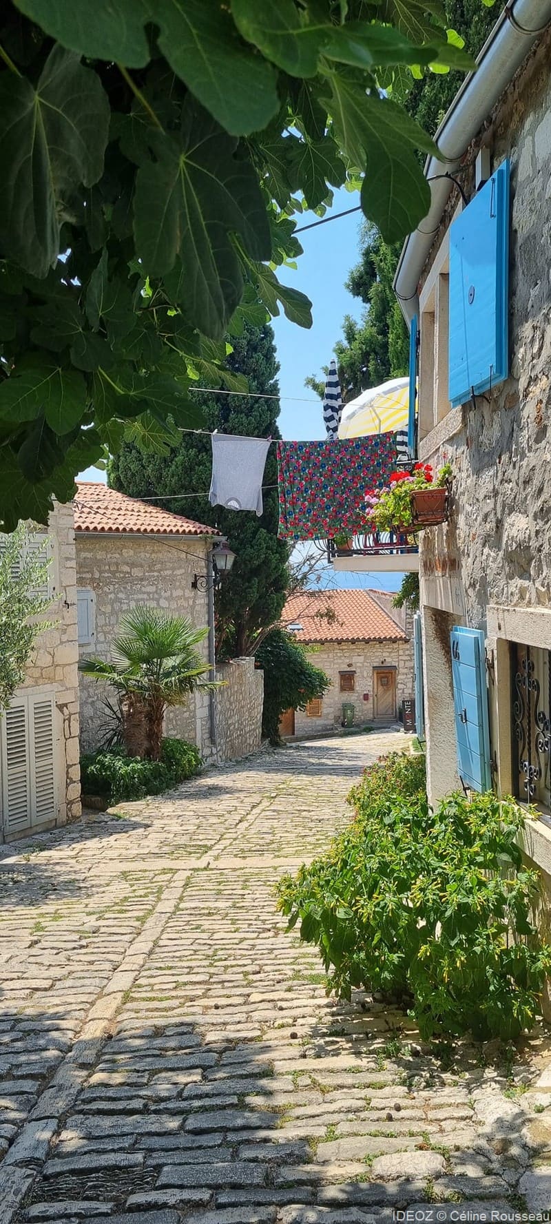 rovinj ruelle pavée (1)