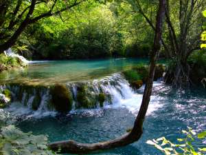ruisseau plitvice