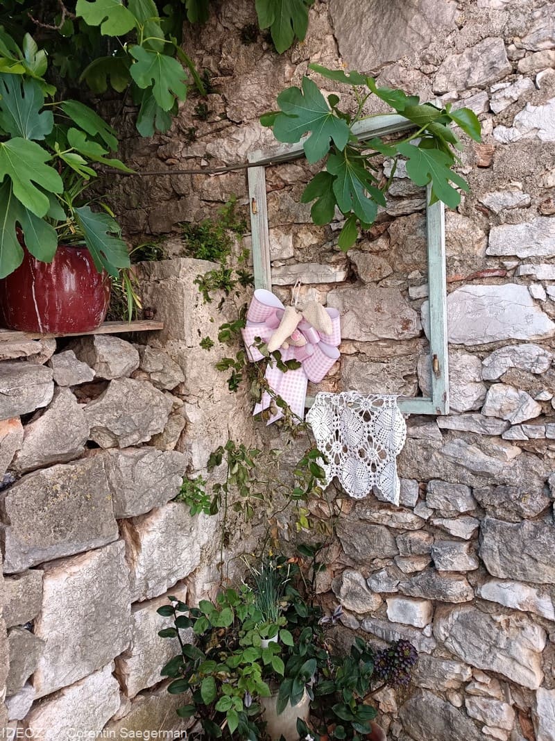 vrgada dentelle et figuier (1)
