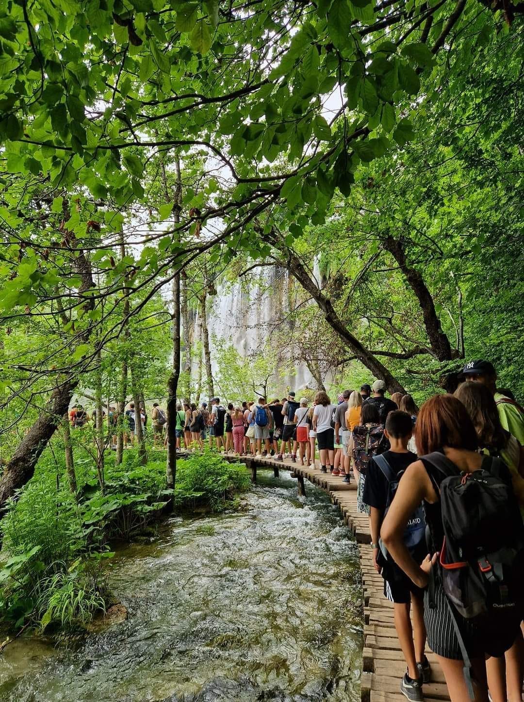 affluence estivale dans le parc de plitvice (1)