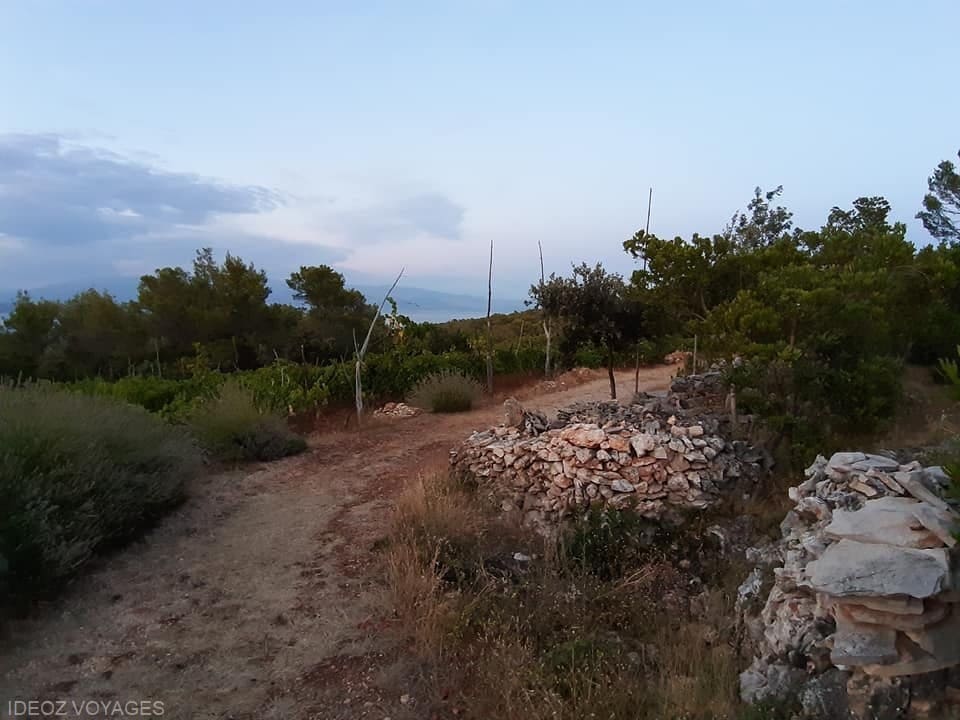 chemin près de la konoba humac hvar
