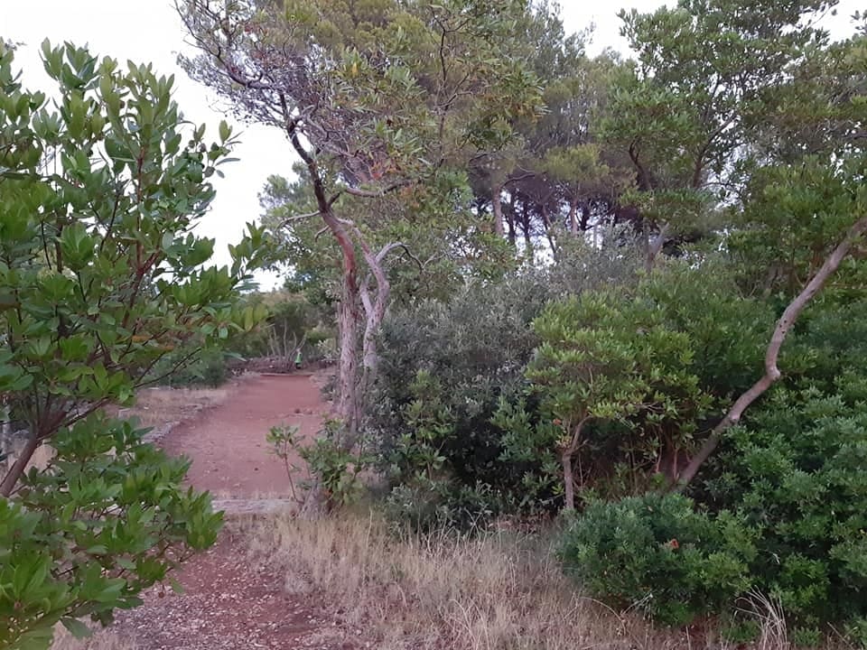 environnement konoba humac