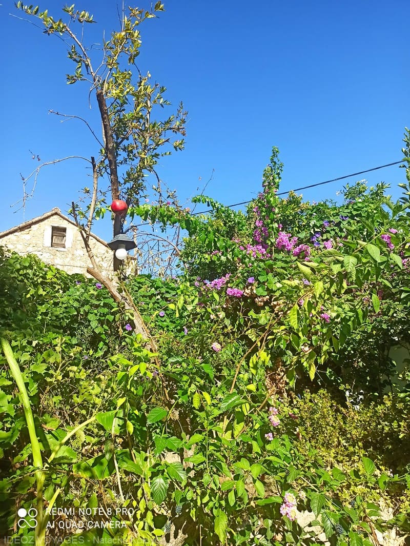 jardin konoba kokot dol
