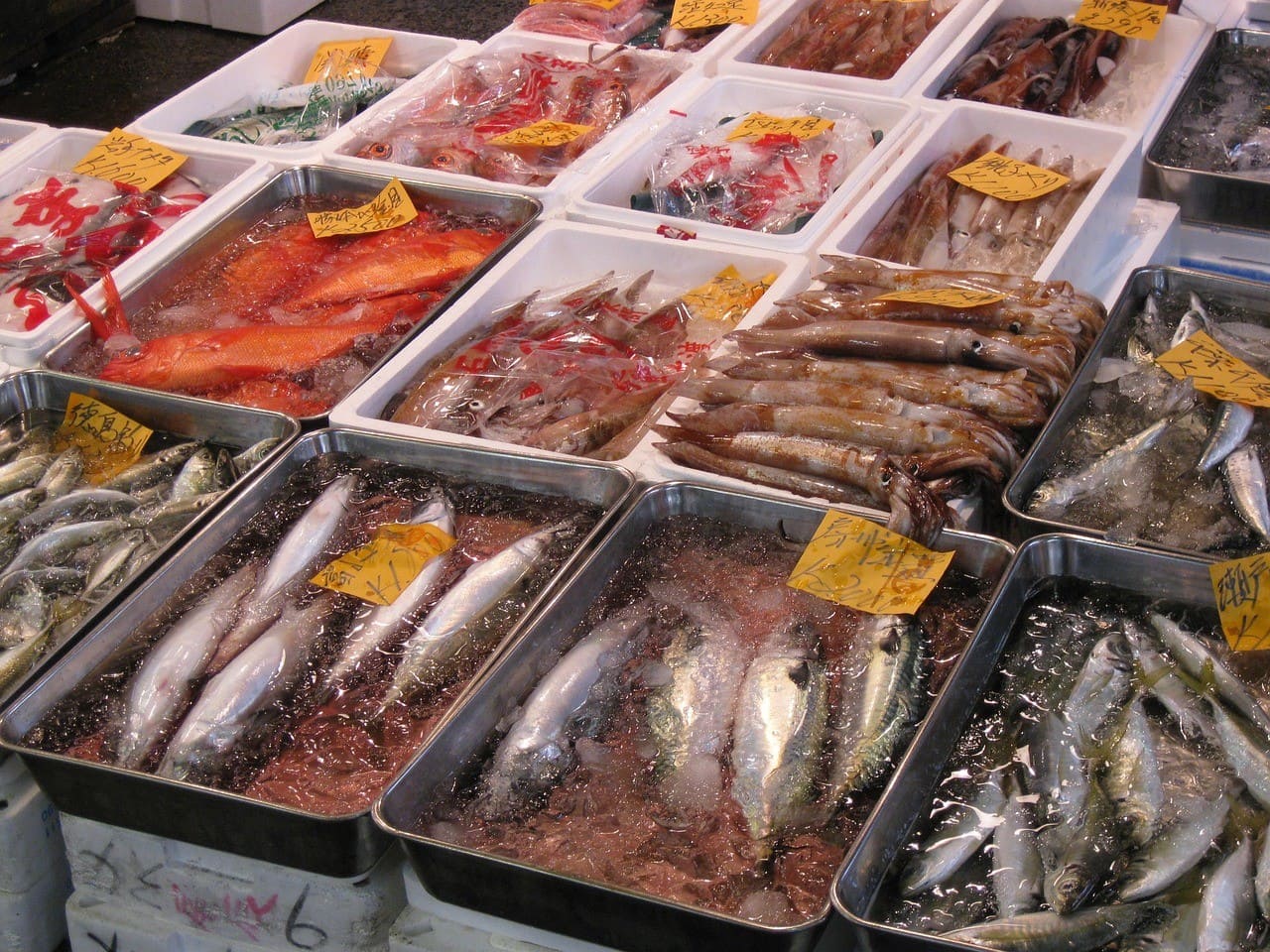 marché de tsukiji tokyo produits de la mer poissons frais et crustacés (1)