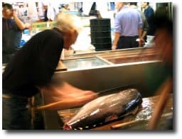 poisson frais japon (1)