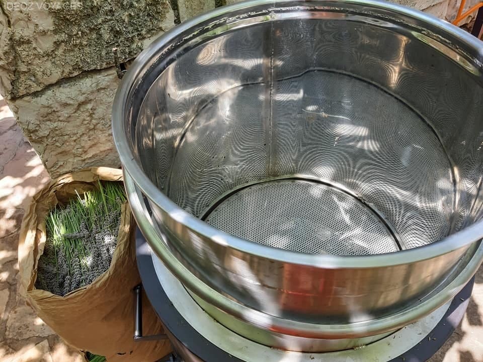 récolte lavande hvar