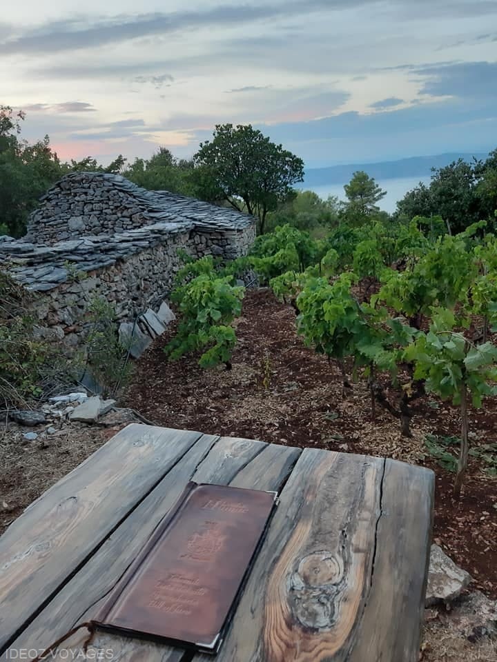 vignes konoba humac ile hvar