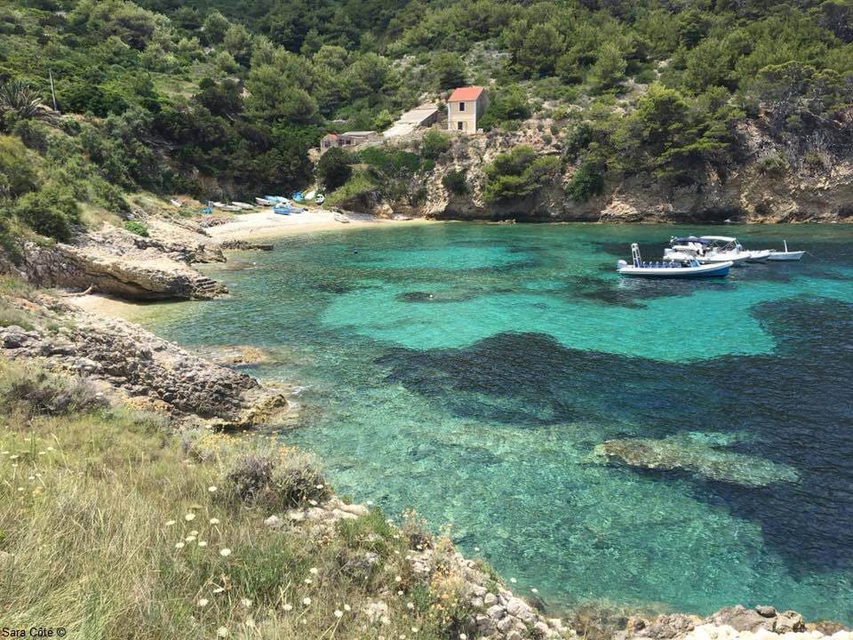 ile de bisevo porat