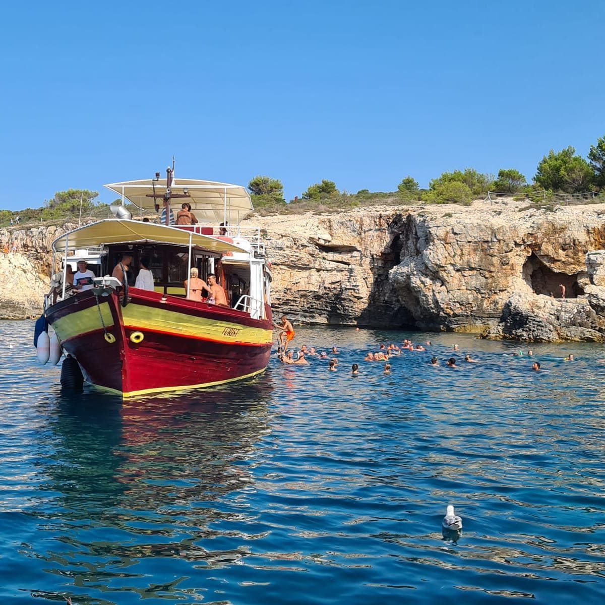 balade en bateau baignade cap kamenjak
