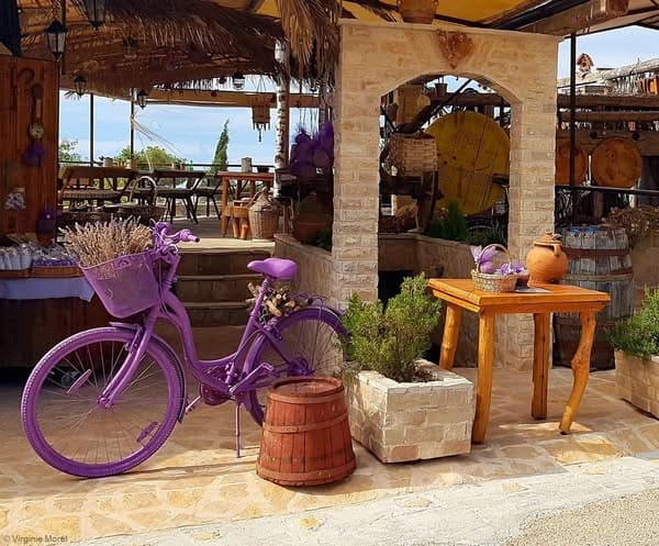 izletiste ferme brusje hvar (1)