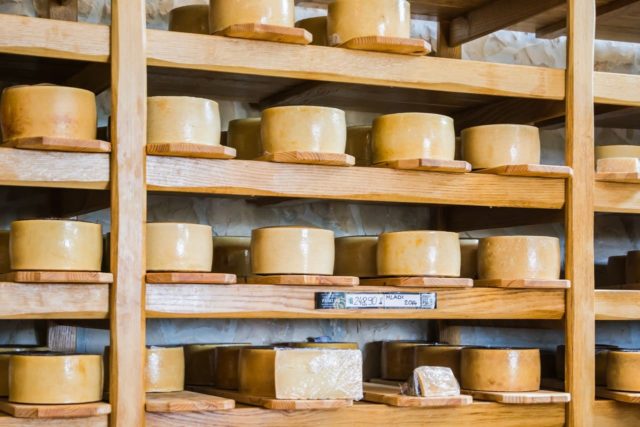 paski sir fromage croate de l'ile de pag (1)