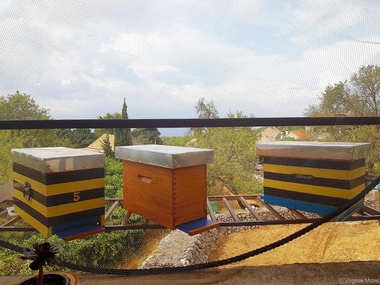 ruches à la ferme izletiste brusje (1)