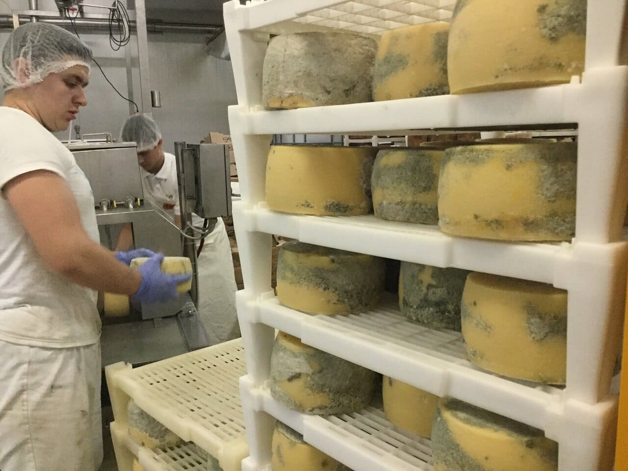 sirana gligora production de fromages de pag