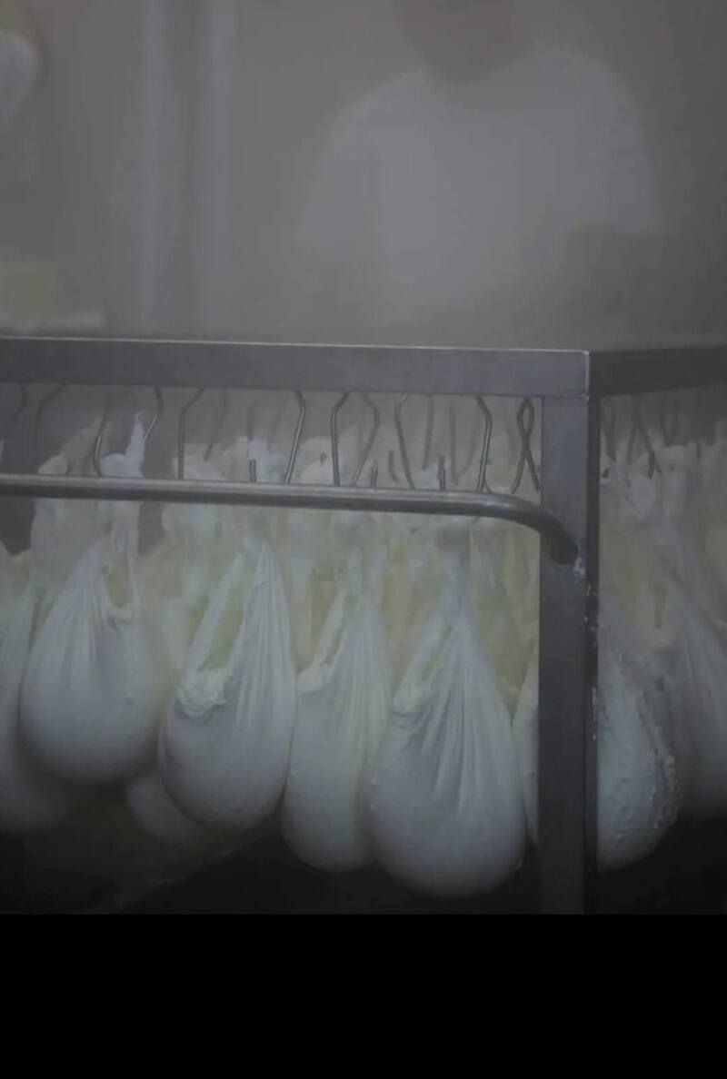 skuta pour la préparation de la puina ricotta de pag