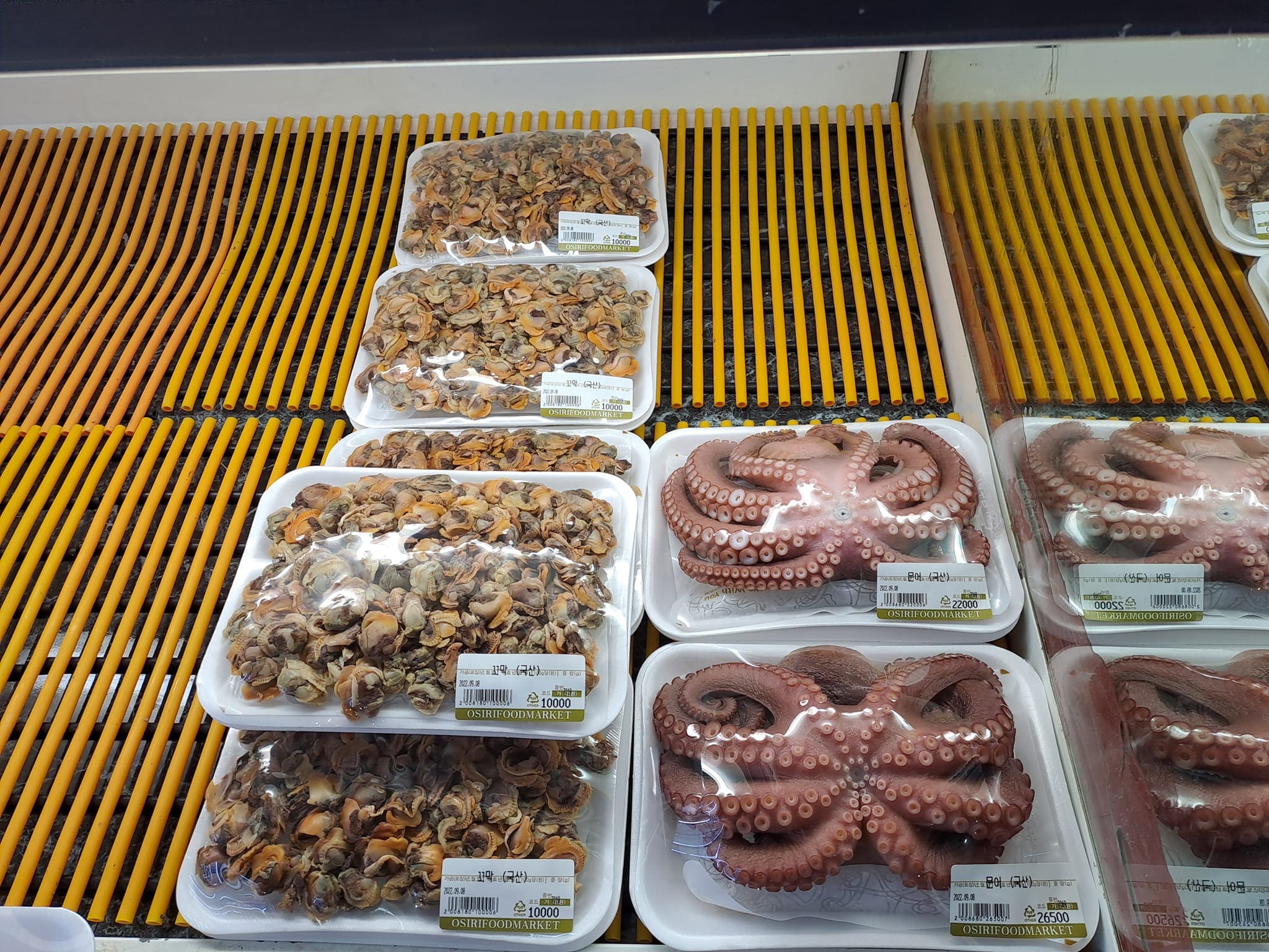 poulpes supermarché à séoul