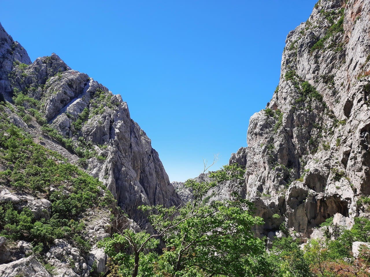 biljast massif de paklenica (1)