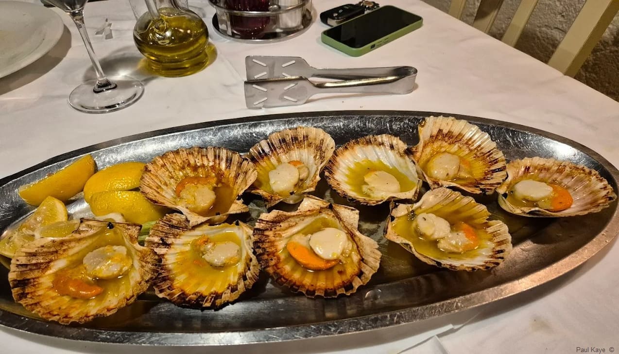 konoba astarea à brtonigla coquilles saint jacques (1) konoba astarea à brtonigla coquilles saint jacques (1)