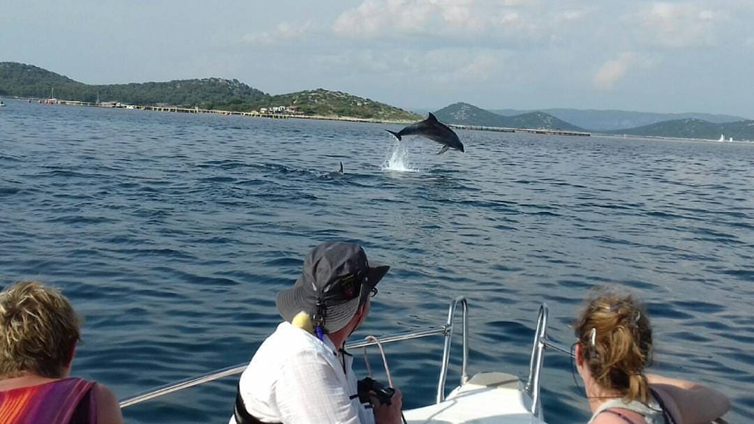 dauphins avec jure depuis pakostane