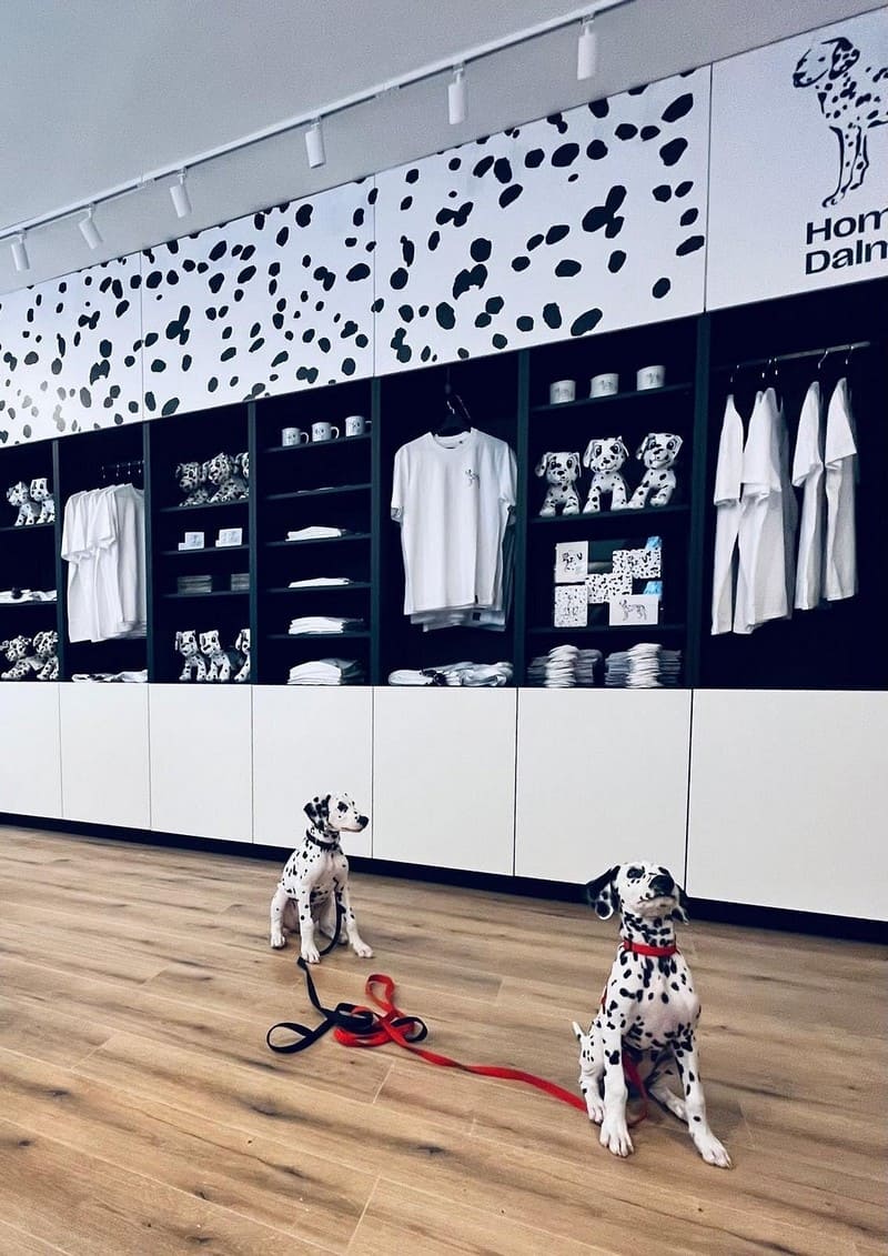 boutique musée du chien dalmatien sibenik